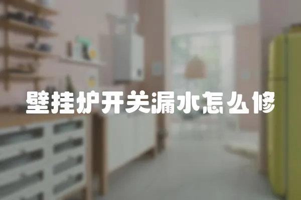 壁掛爐開關漏水怎么修