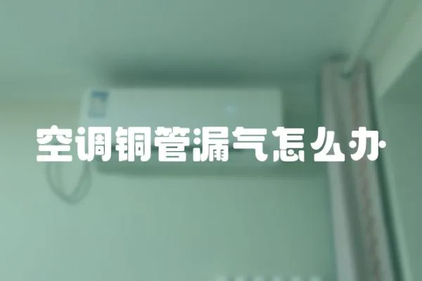 空調銅管漏氣怎么辦