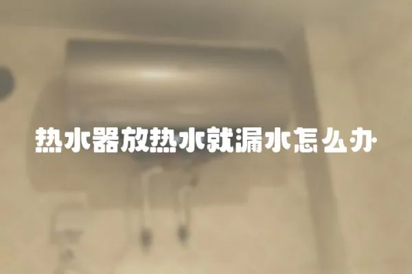 熱水器放熱水就漏水怎么辦