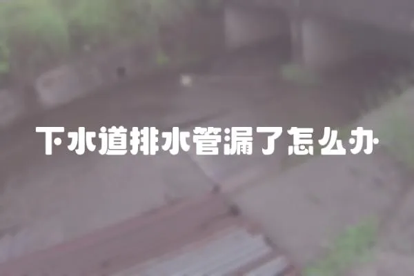 下水道排水管漏了怎么辦