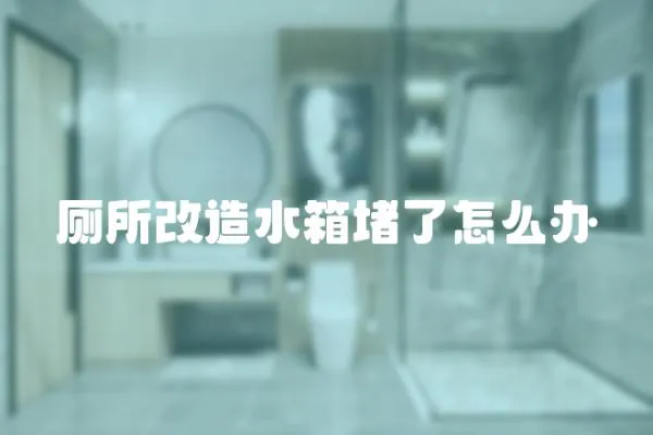 廁所改造水箱堵了怎么辦