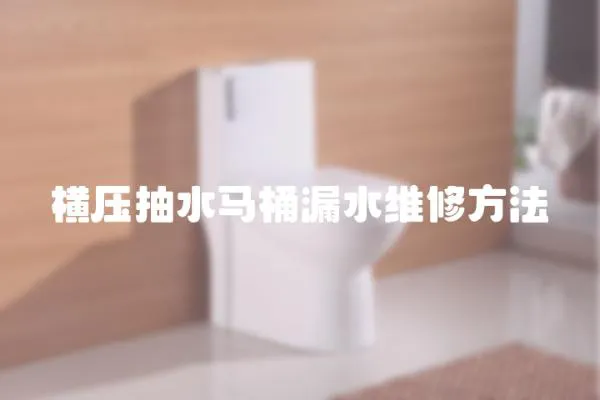 橫壓抽水馬桶漏水維修方法