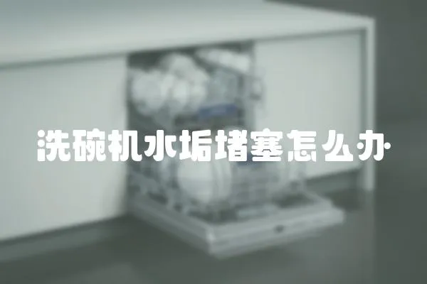 洗碗機水垢堵塞怎么辦