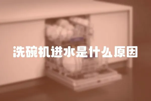 洗碗機進水是什么原因