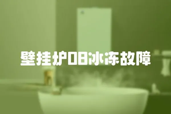壁掛爐08冰凍故障
