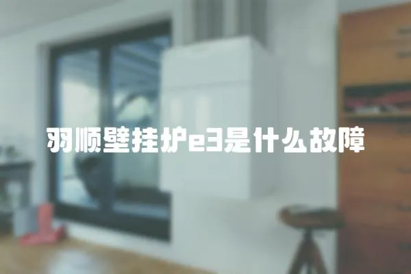 羽順壁掛爐e3是什么故障
