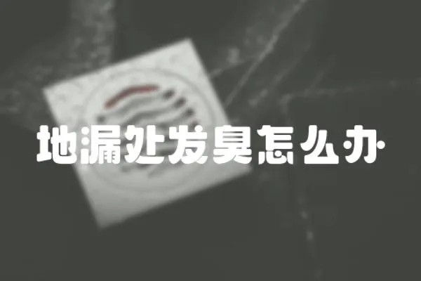 地漏處發臭怎么辦