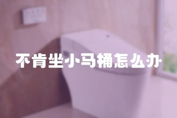 不肯坐小馬桶怎么辦