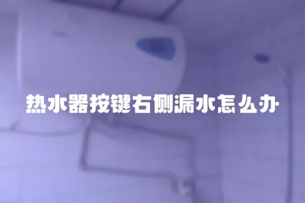 熱水器按鍵右側(cè)漏水怎么辦
