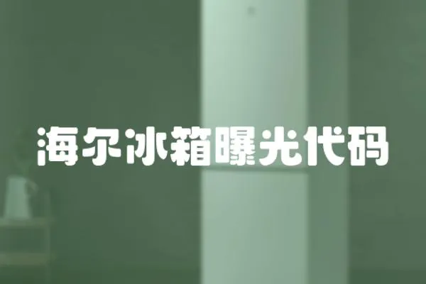 海爾冰箱曝光代碼