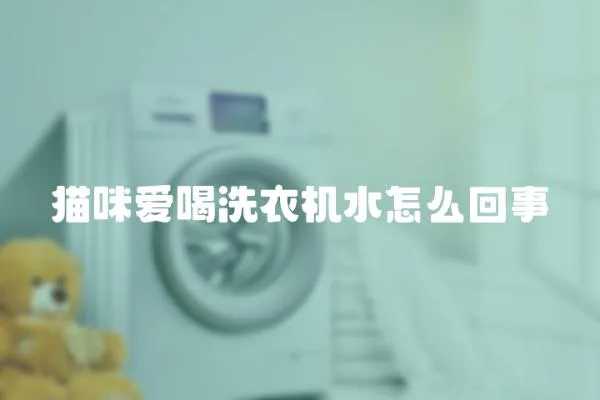 貓咪愛喝洗衣機水怎么回事