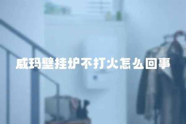 威瑪壁掛爐不打火怎么回事