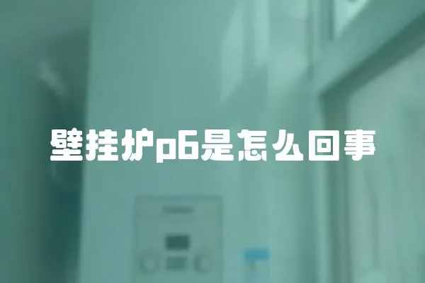 壁掛爐p6是怎么回事