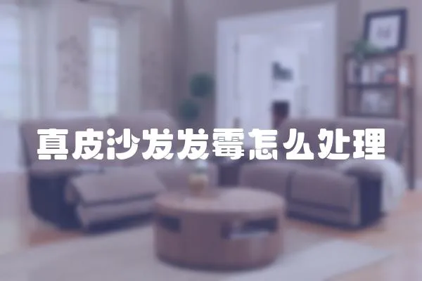 真皮沙發發霉怎么處理