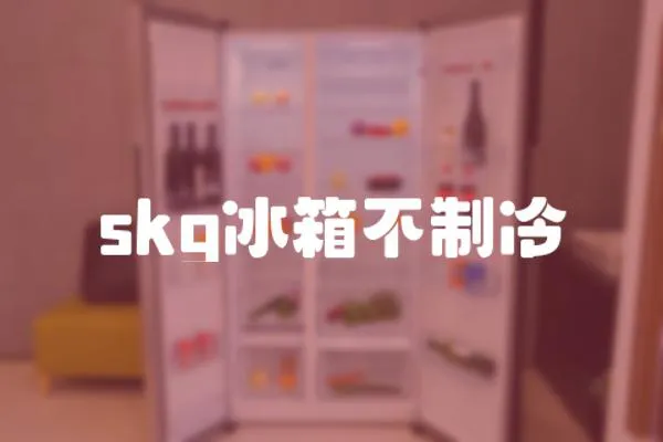 skg冰箱不制冷