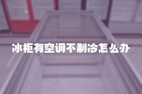 冰柜有空調不制冷怎么辦