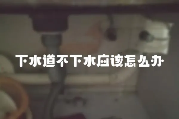 下水道不下水應該怎么辦