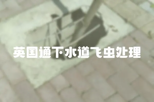 英國通下水道飛蟲處理
