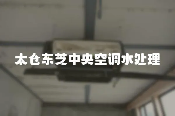 太倉東芝中央空調水處理