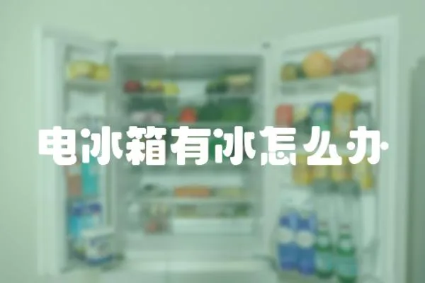 電冰箱有冰怎么辦