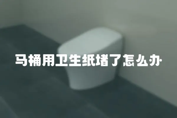 馬桶用衛生紙堵了怎么辦