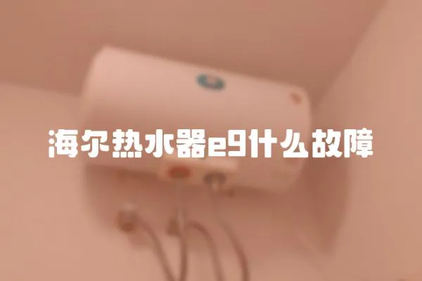 海爾熱水器e9什么故障