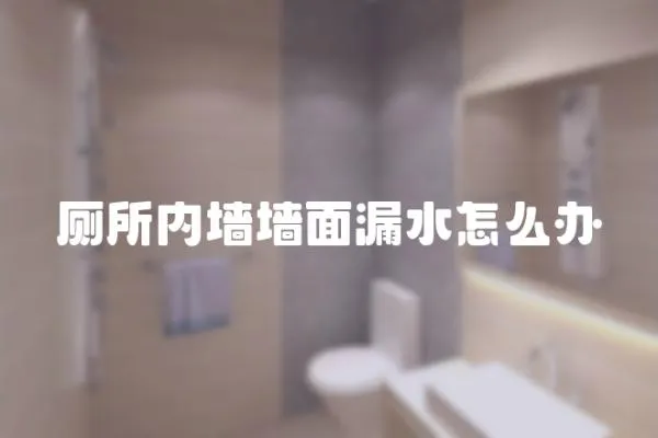 廁所內(nèi)墻墻面漏水怎么辦