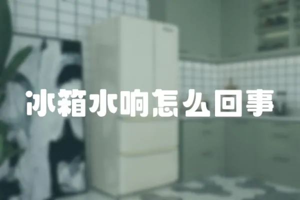 冰箱水響怎么回事