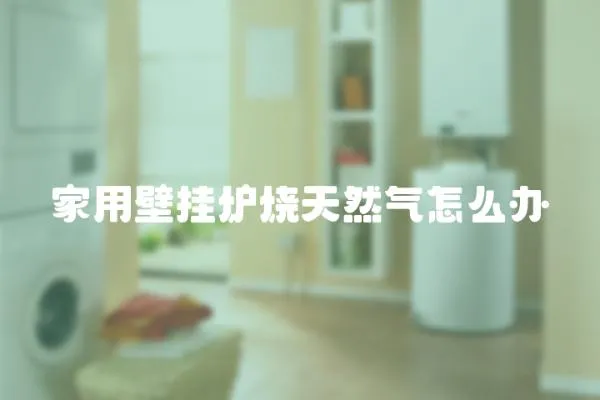 家用壁掛爐燒天然氣怎么辦