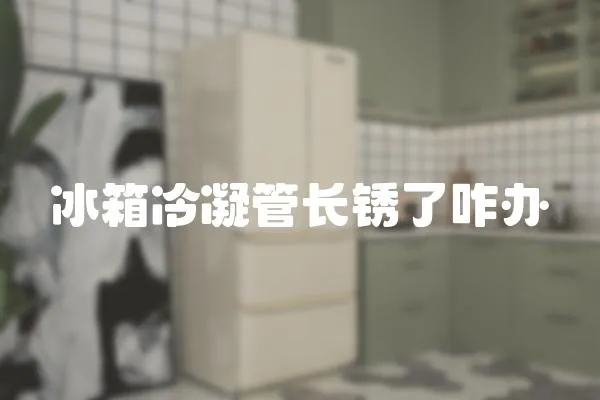 冰箱冷凝管長銹了咋辦