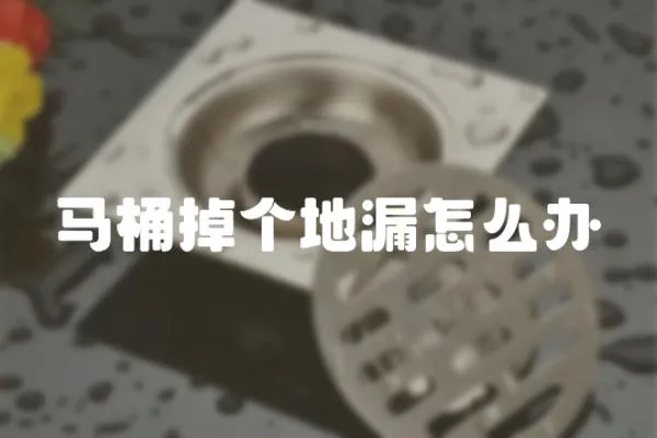 馬桶掉個地漏怎么辦