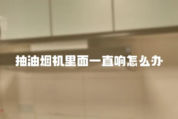 抽油煙機里面一直響怎么辦