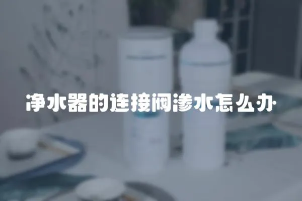 净水器的连接阀渗水怎么办