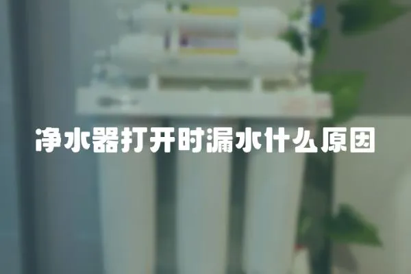凈水器打開時漏水什么原因