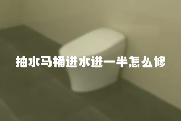 抽水馬桶進(jìn)水進(jìn)一半怎么修