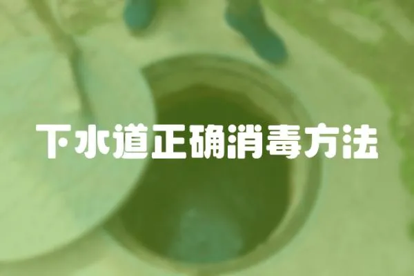 下水道正確消毒方法