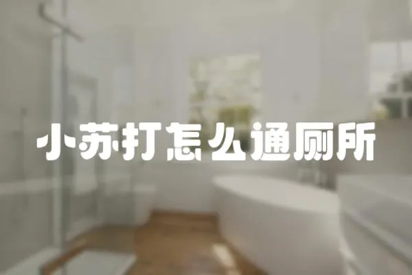小蘇打怎么通廁所