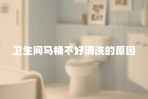 衛生間馬桶不好清洗的原因