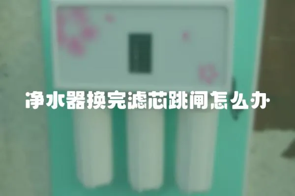 凈水器換完濾芯跳閘怎么辦