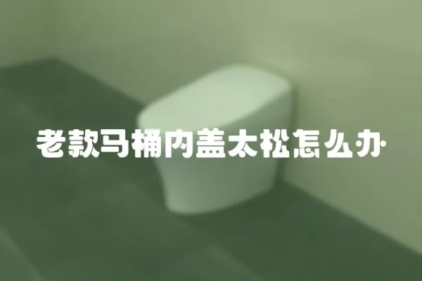 老款馬桶內(nèi)蓋太松怎么辦