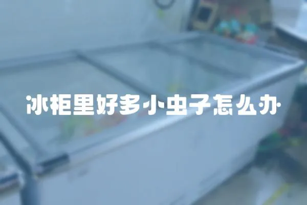 冰柜里好多小蟲子怎么辦