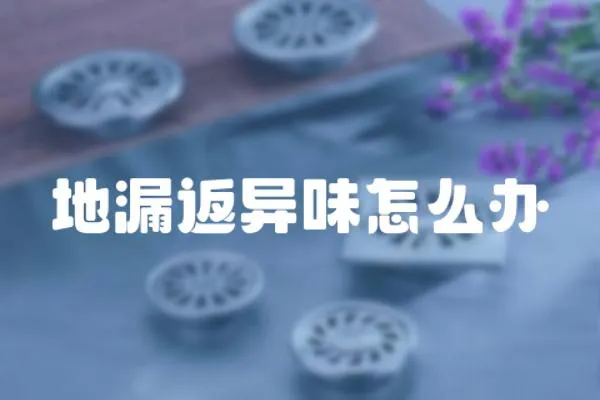 地漏返異味怎么辦