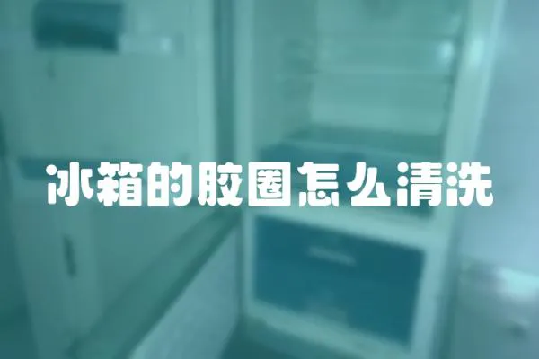 冰箱的膠圈怎么清洗