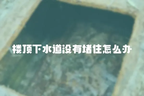 樓頂下水道沒(méi)有堵住怎么辦