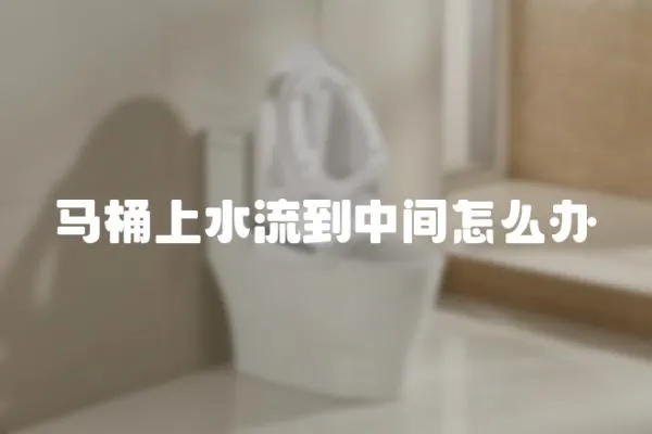 馬桶上水流到中間怎么辦