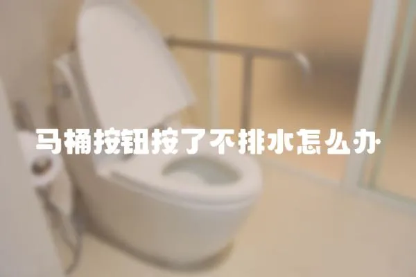 馬桶按鈕按了不排水怎么辦