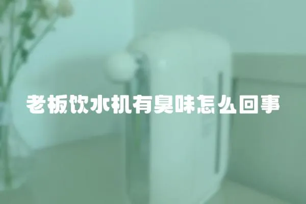 老板飲水機有臭味怎么回事