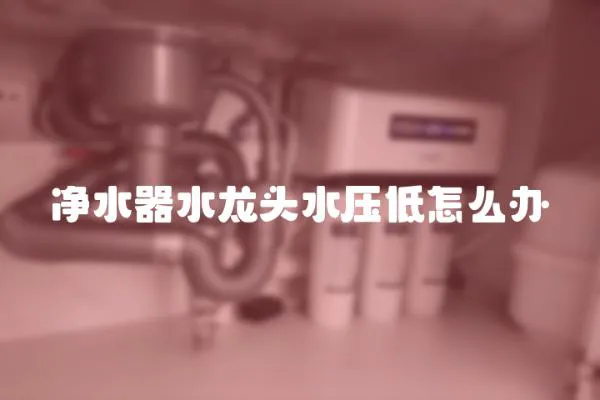 凈水器水龍頭水壓低怎么辦