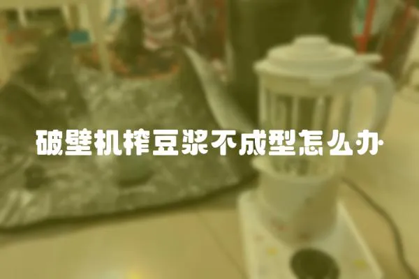 破壁機榨豆?jié){不成型怎么辦
