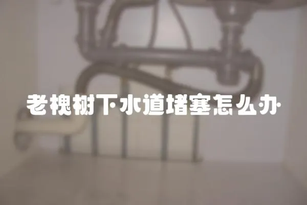 老槐樹下水道堵塞怎么辦